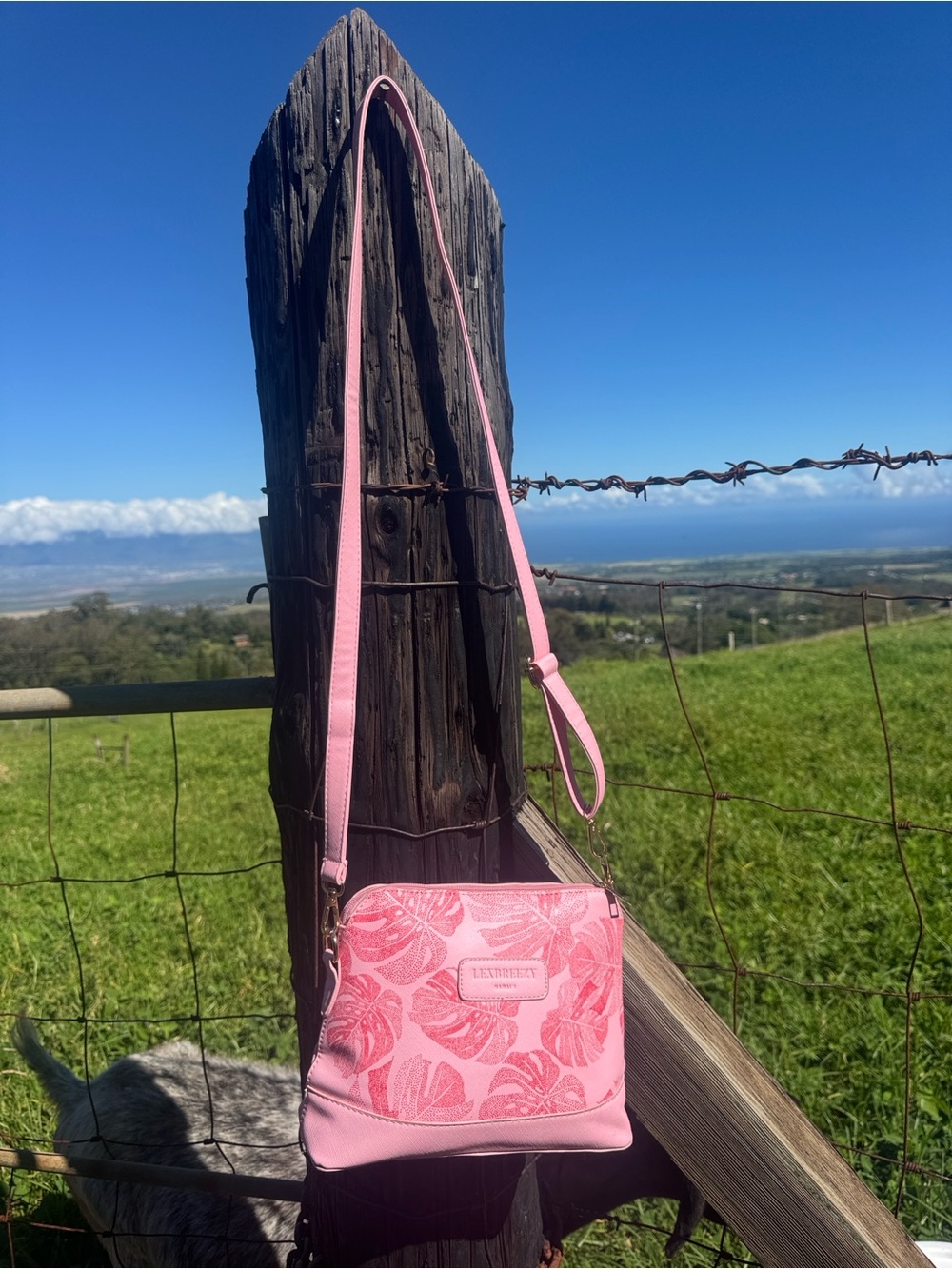 Lexbrezzy Hawaii Pink Monstera Tropical Resort Crossbody 'Eke Bag - Picture 4 of 7